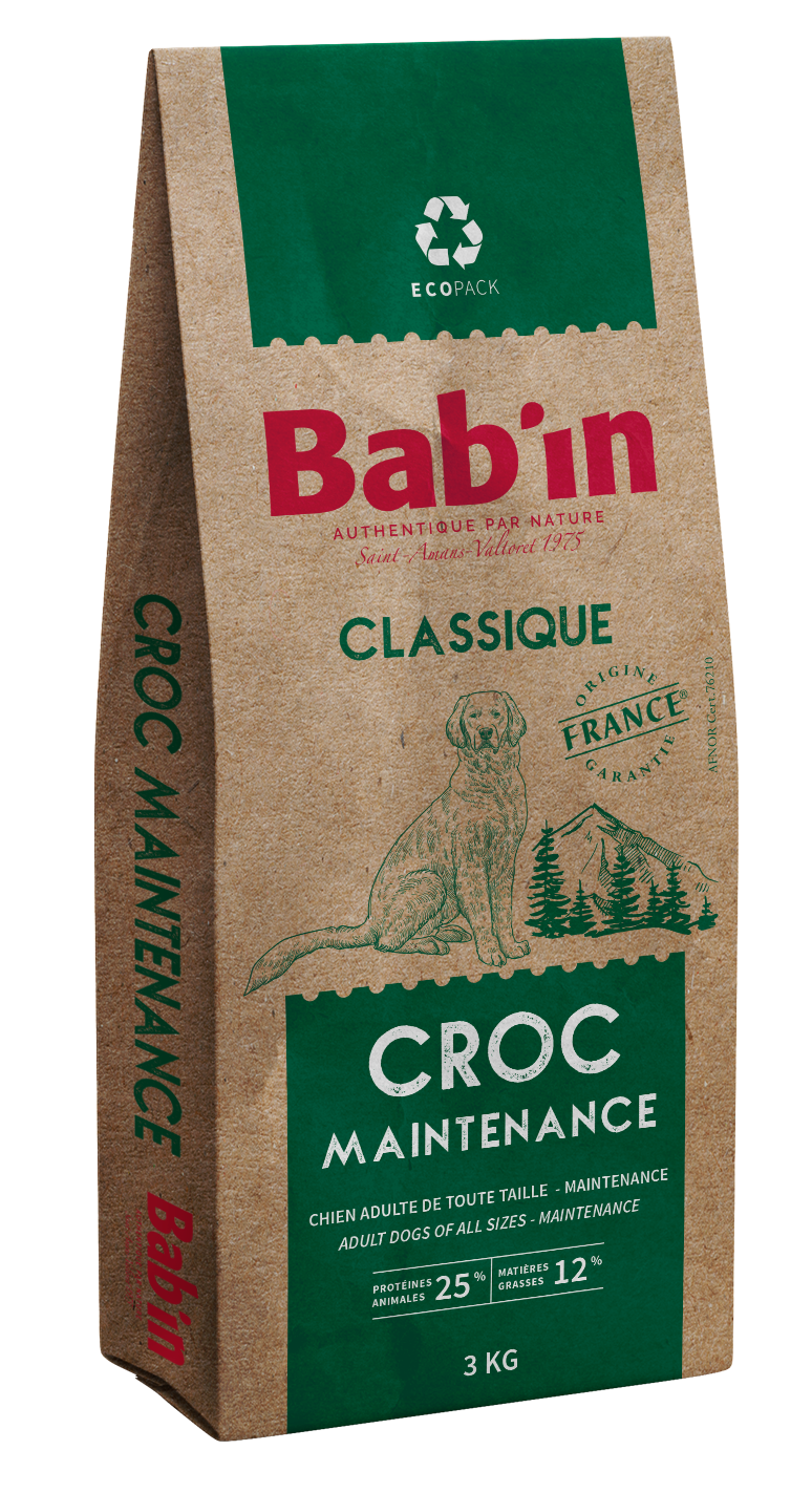 CLASSIQUE MAINTENANCE