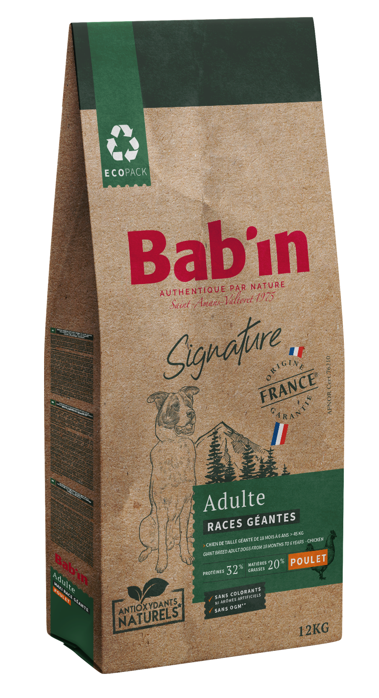 SIGNATURE RACE GEANTE ADULTE