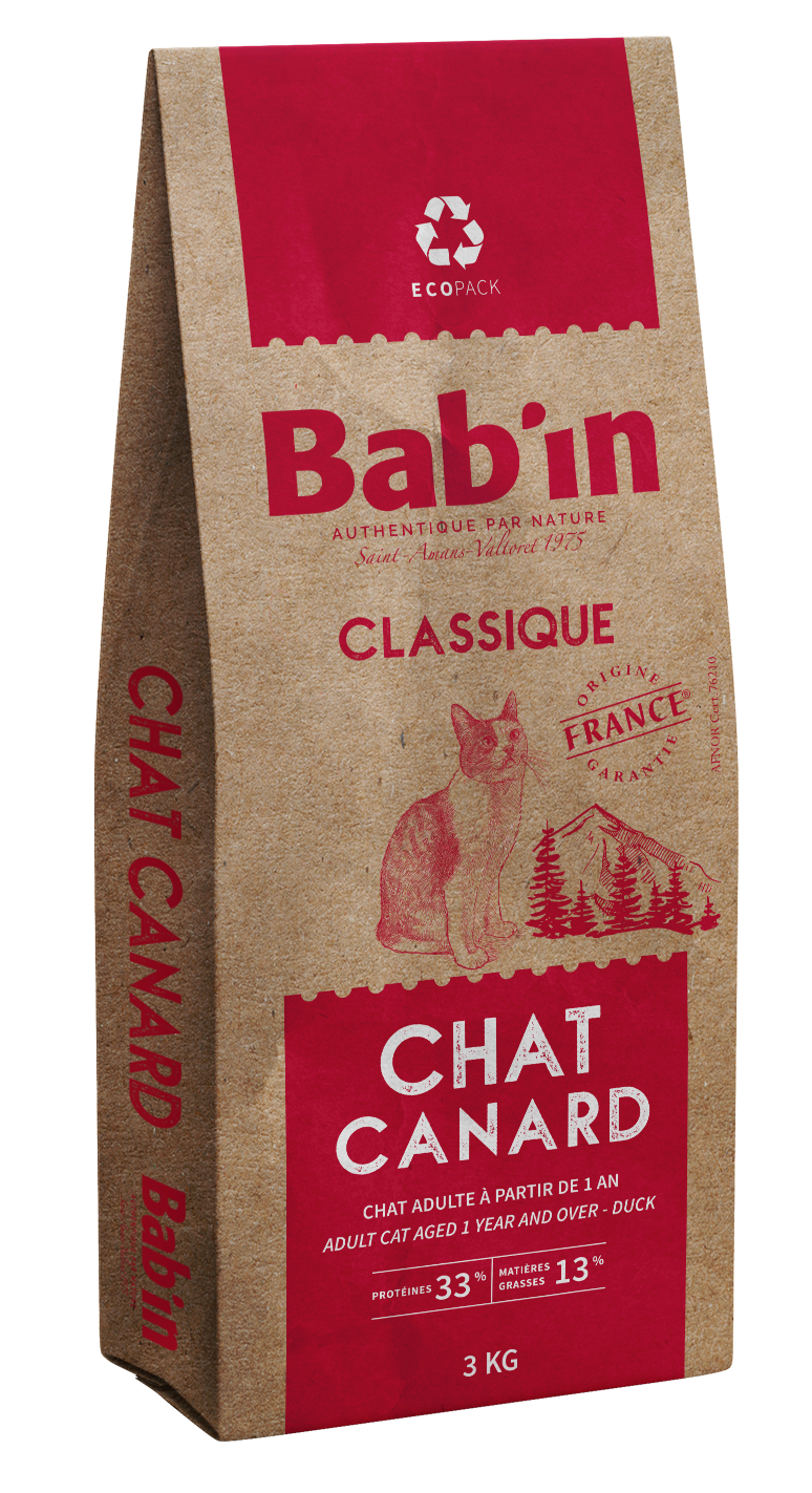 CLASSIQUE CHAT ADULTE CANARD